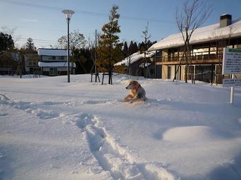 雪遊び076.JPG